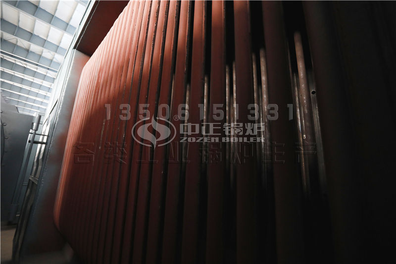 江蘇生物質(zhì)導(dǎo)熱油鍋爐供應(yīng) 導(dǎo)熱油鍋爐誰(shuí)家性能好，價(jià)格合理?